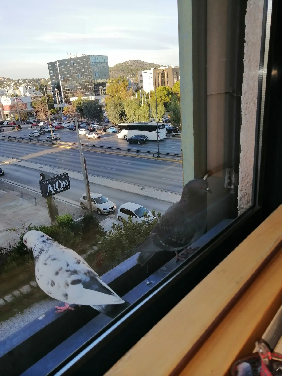 ΓΕΝΝΗΜΑ IVF — photo 3