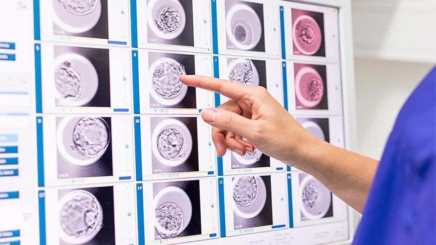 Κέντρο Εξωσωματικής Αθηνών - IVF Athens Center — photo 4