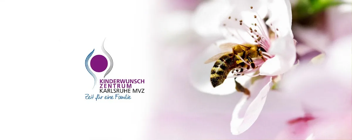 Frauenarztpraxis und Kinderwunschzentrum Karlsruhe H.-J. Graeber &amp; Kollegen
