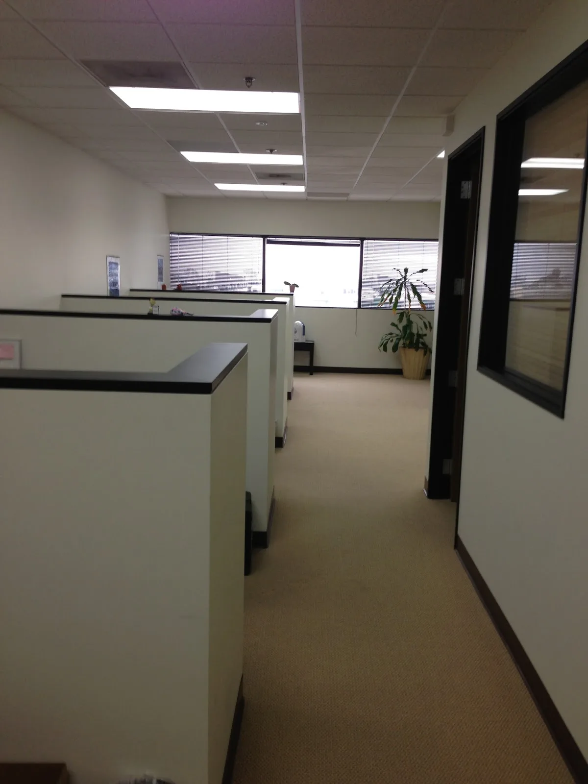 LA Baby Fertility Agency