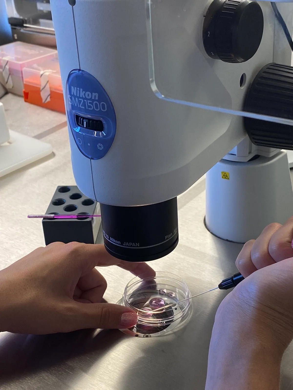 Κλινική Γονιμότητας | Fertility Clinic | Εξωσωματική Γονιμοποίηση και Δωρεά Ωαρίων — photo 2