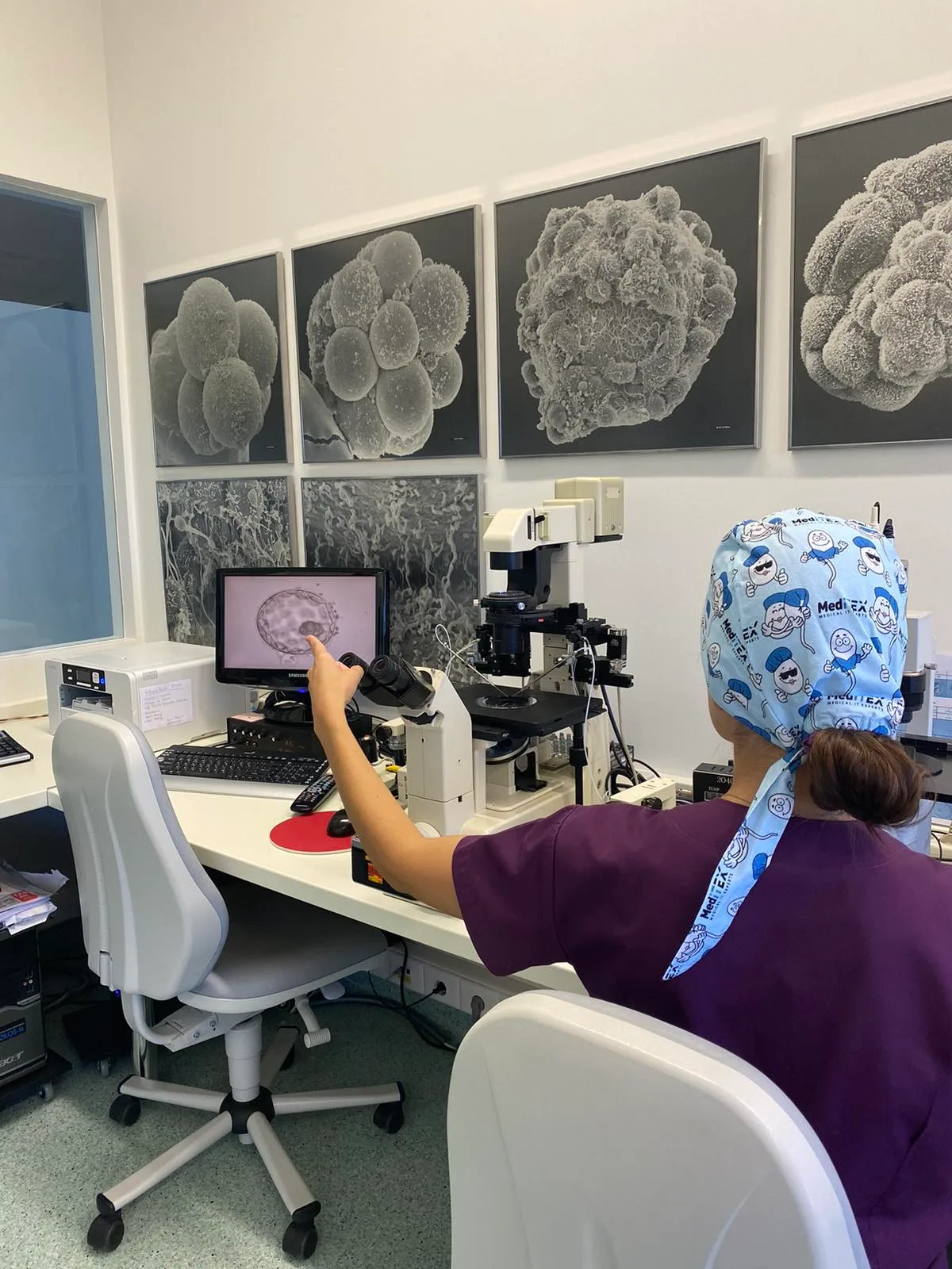 Κλινική Γονιμότητας | Fertility Clinic | Εξωσωματική Γονιμοποίηση και Δωρεά Ωαρίων — photo 3