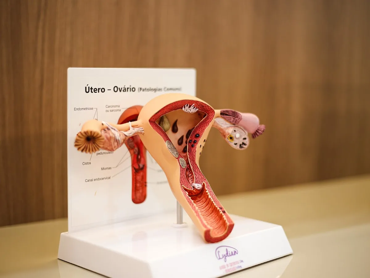 🏻‍ ️ Clínica de Saúde Reprodutiva e Inseminação Artificial | Dra. Adriana de Góes Soligo São Paulo - SP — photo 2